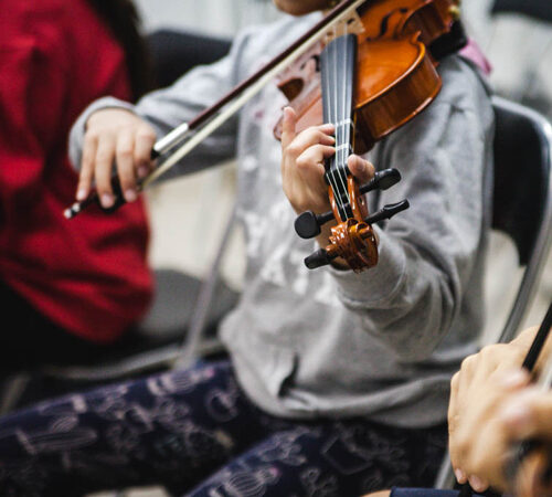 Violin